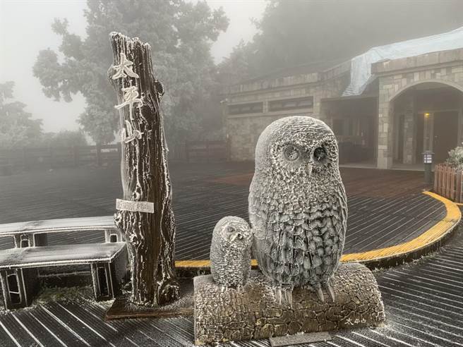   太平山上因为结雾淞呈现白茫茫的一片，但始终没有下雪。（罗东林管处提供／胡健森宜兰传真）