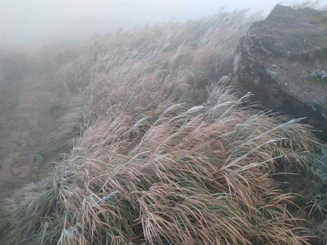 原PO表示，山上零下2度，手脚快冻僵。(翻摄自 发现阳明山FB)
