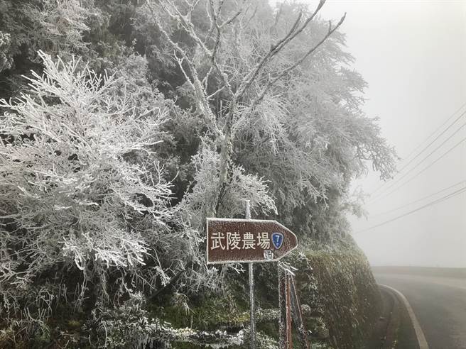 台七甲线思源垭口沿线被雾淞覆盖，连武陵农场路标指示牌也结满白色冰霜。（武陵农场提供／王文吉台中传真）