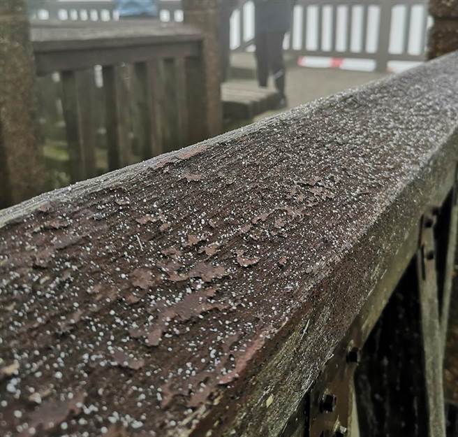 大屯山顶降下冰霰。(黄世麒摄)