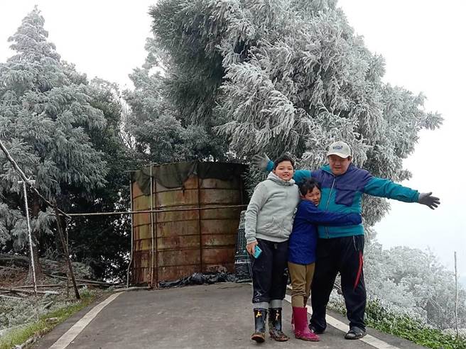 拉拉山昨虽不见雪，但路树、草地及果园都已出现冰霰与结霜，吸引居民、游客上前合影留念。（復兴区公所提供／黄婉婷桃园传真）