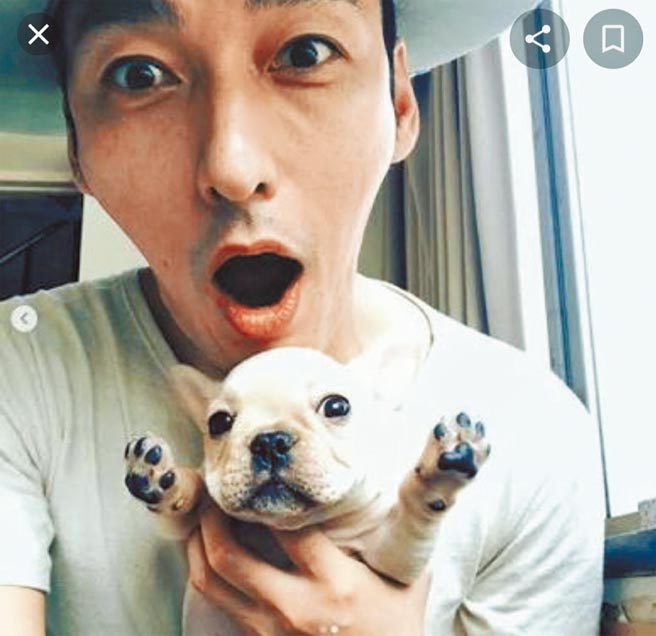 草彅剛刻意選在愛犬生日結婚。（取自草彅剛IG）