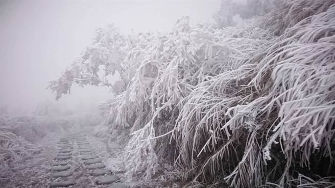 The silvery-white landscape on Victoria Peak is very charming.  (Provided by Luo Dong Forest Management Bureau / Faxed by Hu Jiansen Yilan)