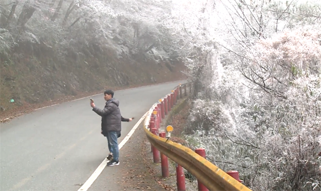 遊客見到兩邊的魔幻雪國景色，下車捕捉這幕難得美景。（讀者提供／王志偉花蓮傳真）