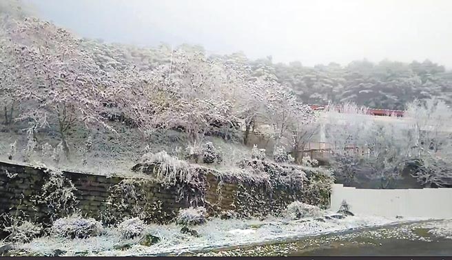 台东南横公路向阳地区昨日凌晨摄氏零度降下冰霰，沿途风景宛若北国。（台东林管处提供）