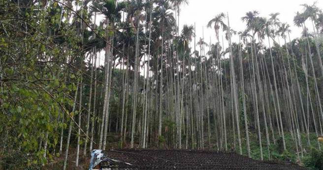 （示意图／报系资料照）