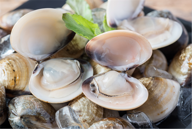 蛤蜊快速吐沙的妙招，有三大重点。(图/沣食公益饮食文化教育基金会)