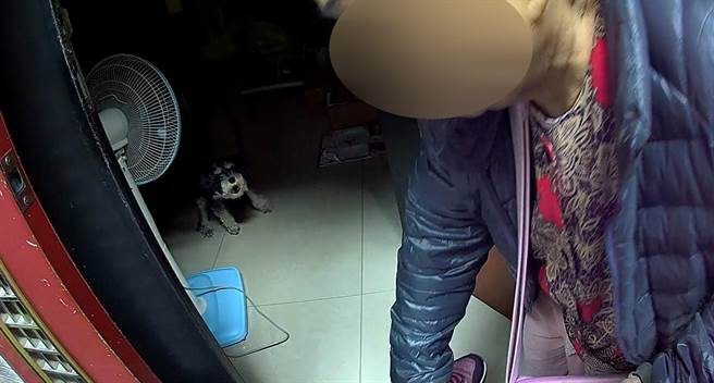 85岁失智梁姓阿嬷返家，饲养的狗，欣喜转圈摇尾欢迎。（台中市第三分局提供／张妍溱台中传真）