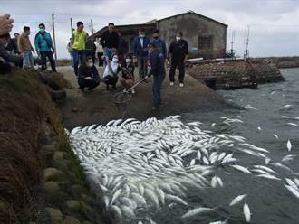 虱目魚損失超過7成 農委會將啟動災害救補助