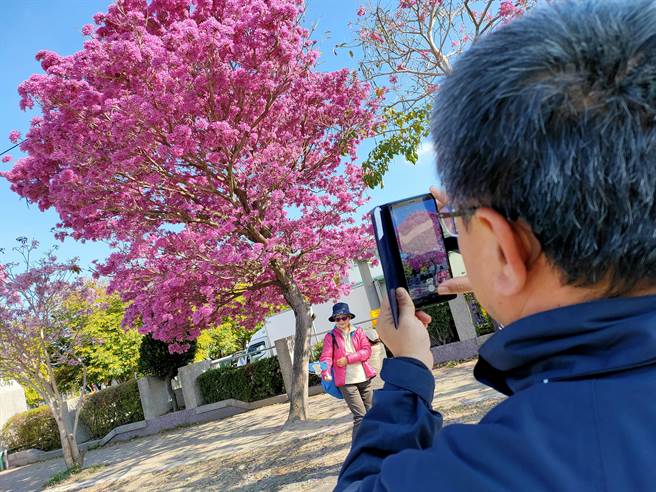 民眾争相拿起手机拍照，直呼超级美的。(吴建辉摄)