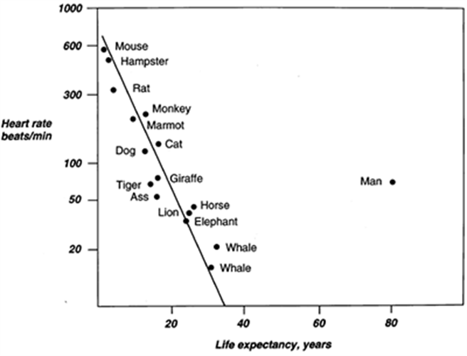 Herbert Levine医生的原图表。（图／取自科学的养生保健）