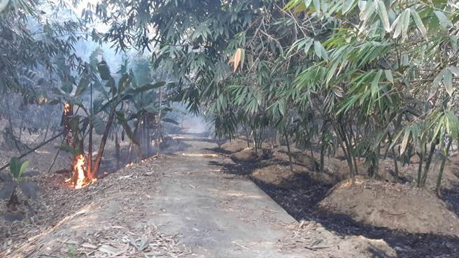 台南市大新丰地区3日下午发生多起杂草火警，让消防人员疲于奔命灌救。（读者提供／李宜杰台南传真）