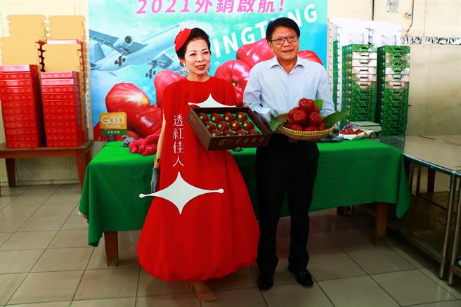 佳冬農會品牌蓮霧「透紅佳人」在全球疫情延燒之際，以精緻路線穩定外銷市場，新的一年又接下香港大單。（謝佳潾攝）