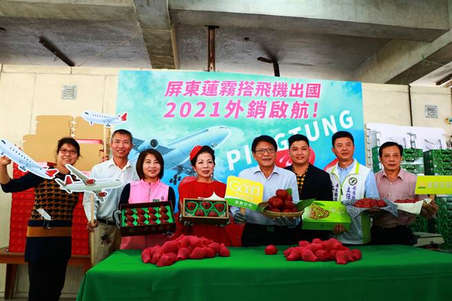 佳冬農會品牌蓮霧「透紅佳人」在全球疫情延燒之際，以精緻路線穩定外銷市場，新的一年又接下香港大單。（謝佳潾攝）