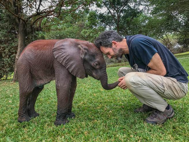 纪录片《完美星球》拍摄时间超过1113天。（BBC STUDIOS提供）