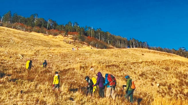 雪霸国家公园管理处3日表示，冬季首发强力寒流，雪山气温虽达冰点，但因溼度不够没有下雪，目前园区部分登山步道早晚有结冰情形，接近白天天气好就会融化。（雪霸国家公园管理处提供／巫静婷苗栗传真）