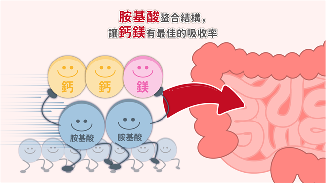 不论是钙镁合一或甘胺酸螯合结构，都可以帮助我们吸收更多的钙与镁。(图/好食课提供)