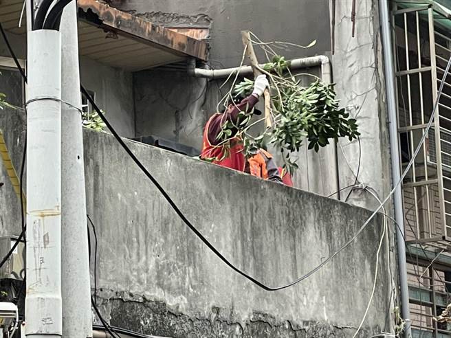 夸张！芦洲宅遭大树「霸占」支离破碎模样曝光，芦洲仁爱里长林宏典出资帮忙整修房屋（戴上容摄）