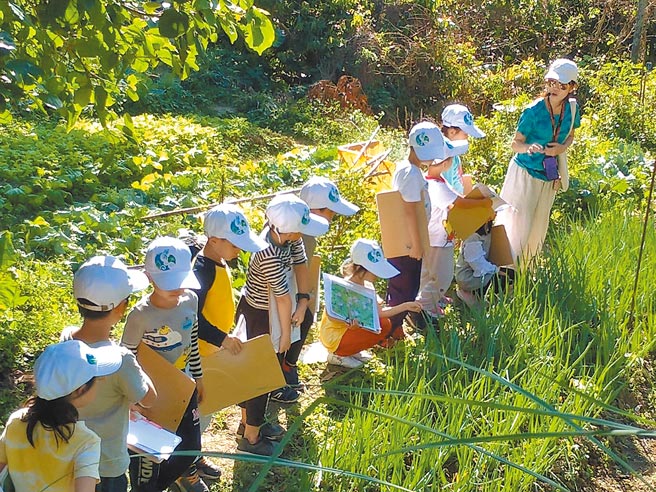 三峡插角国小邻近大豹溪、大板根，校舍被青山环绕，是新北市着名特色小学。（翻摄插角国小官网／许哲瑗新北传真）