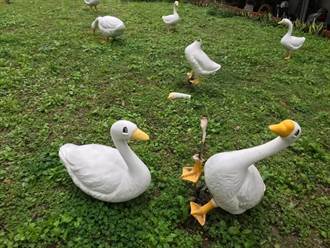 借藝術品美化公園 王永慶的鵝慘遭斷頭斷腿
