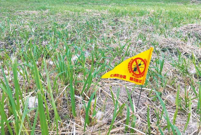 红火蚁入侵新北市于2018年时达到高峰，全市逾7000公顷土地受波及，歷经2年时间努力降至约4000公顷。（新北市农业局提供／叶书宏新北传真）