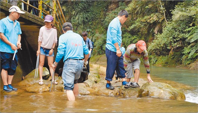 基隆市府封溪护鱼，近年与玛陵居民合作使用虾网、鱼叉，移除10种外来鱼类。（基隆市政府提供／陈彩玲基隆传真）