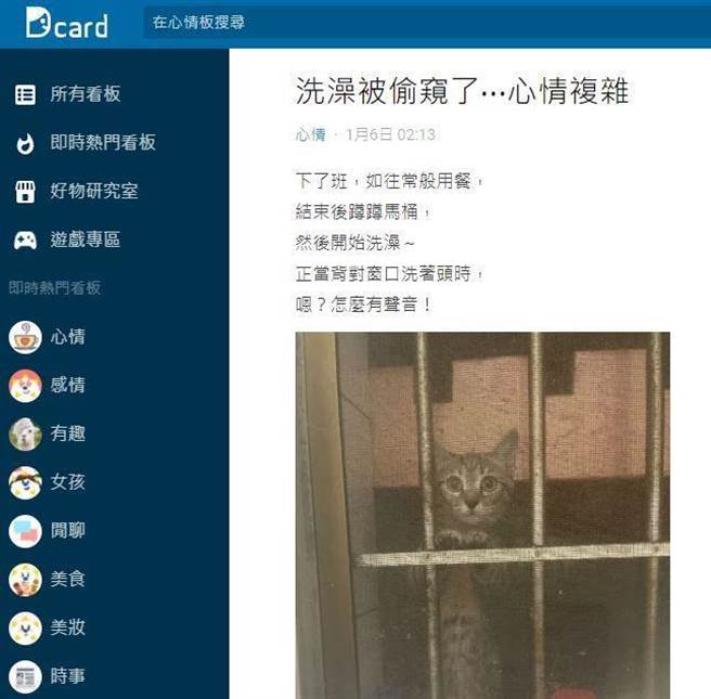 原PO发现偷窥他洗澡的凶手是一只猫。（图／翻摄自Dcard）