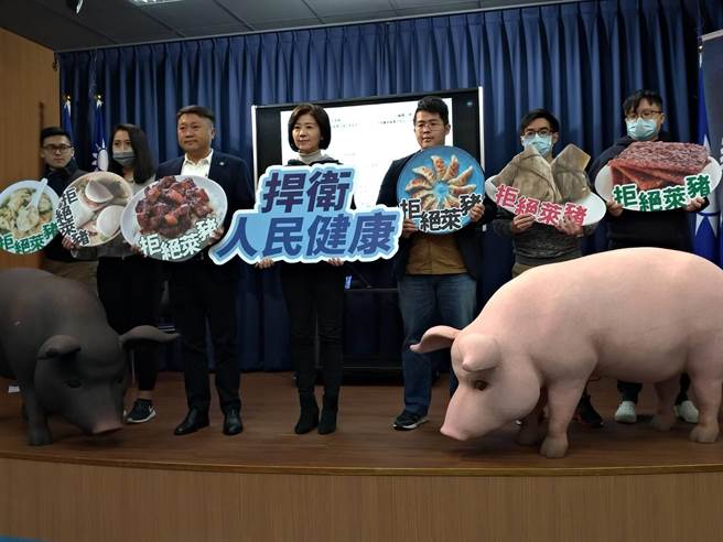 國民黨宣布本周末起兩項公投連署在全國遍地開花。（黃福其攝）