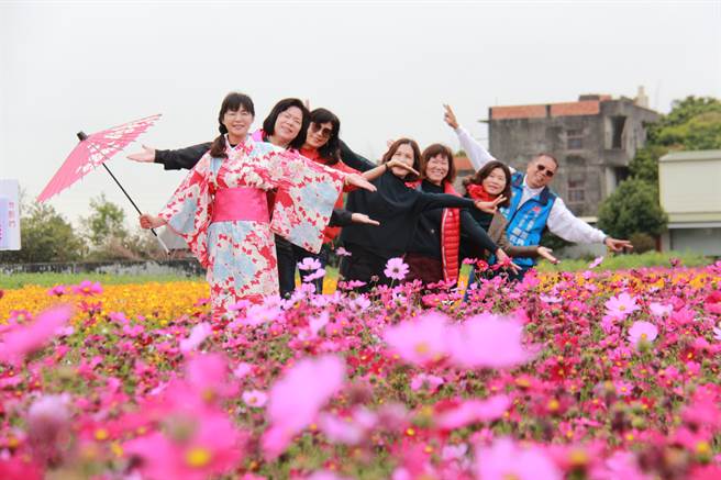 「2021南新农村花海艺术节」，将在本周6登场，今年公所特别请来专业教授，参考荷兰艺术家，皮特．平蒙德里安作品，以色块设计花海艺术画，打造金牛意象。(吴建辉摄)