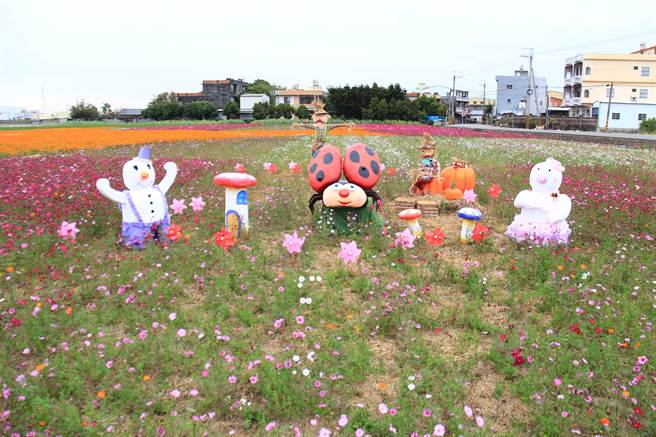 每年岁末南新花海，都吸引无数民眾朝圣。(吴建辉摄)