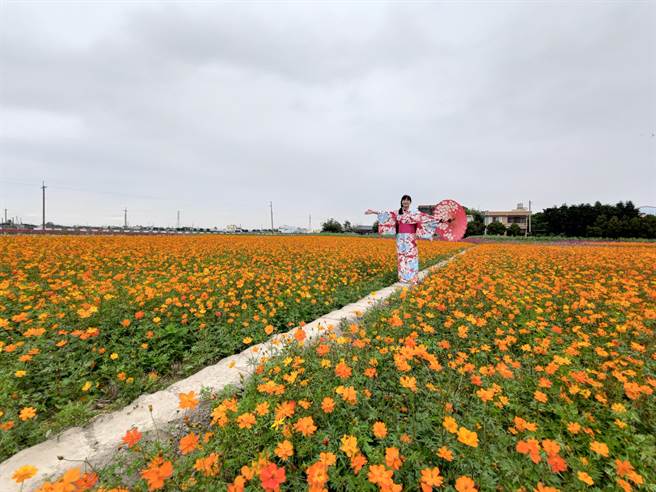埔盐乡长许文萍说，欢迎全国乡亲一同到埔盐来赏花，迎新春享美食。(吴建辉摄)