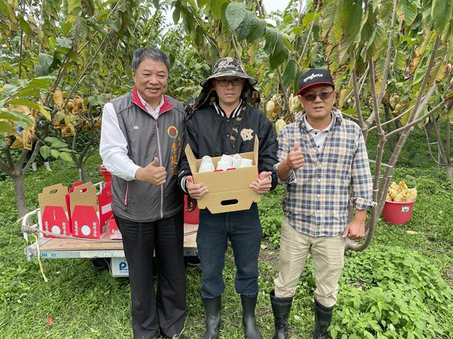 新冠肺炎疫情持对于进入产期的台东凤梨释迦外销首当其衝，对此，凤梨释迦产业策略联盟与台东地区农会共商对策后，首波推出75折优惠，期能让释迦农度过寒冬。（蔡旻妤摄）