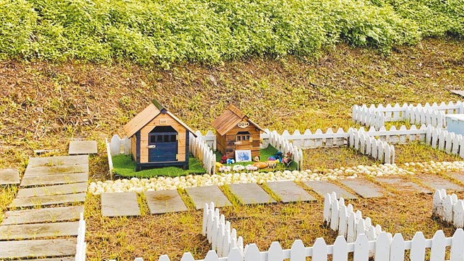 罗东寿园新推出「宠物园区」服务，让饲主可以妥善地安排宠物的身后事。（罗东镇公所提供／胡健森宜兰传真）