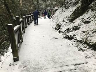 不敢相信在台灣！拉拉山變身童話世界 林務局：雪積10公分厚