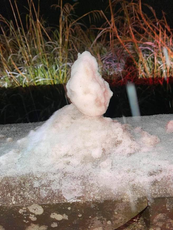 阳明山降下2021年初雪！民眾开心堆起雪人狂拍照留念。（民眾陈义夫提供／吴康玮台北传真）