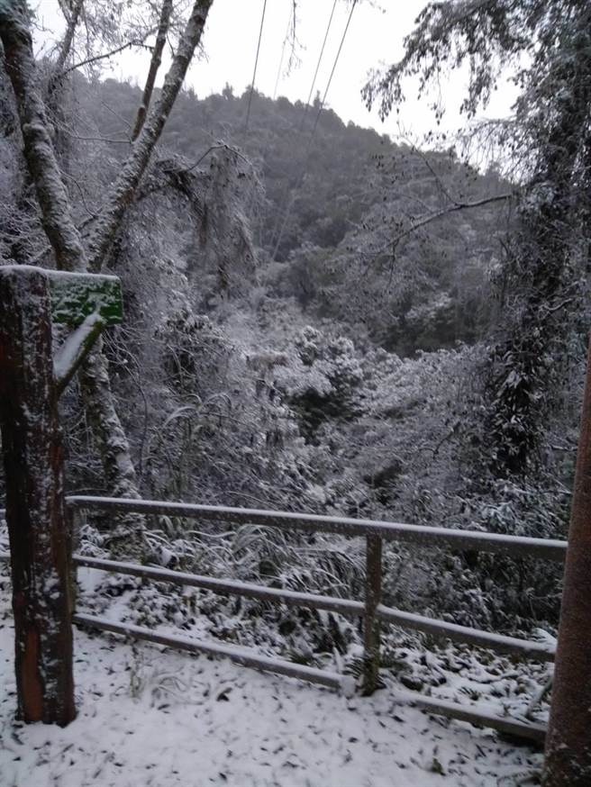 桃园拉拉山下雪，山区成白茫茫雪白世界。（警方提供／赖佑维桃园传真）