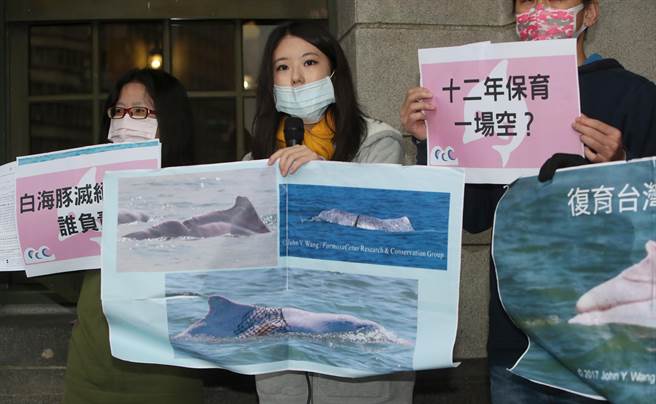 台灣媽祖魚保育聯盟等環保人士8日赴監察院陳情，控訴政府在過去12年對台灣白海豚的保育沒有具體的成效，在彰濱太陽能光電開發案、大肚溪上游鳥嘴潭開發案及台中電廠增加燃氣機組等開發案都對增加對白海豚族群存活壓力，目前白海豚數量已從2010年調查的86隻明顯下降到2019的47隻，因此呼籲政府正視台灣白海豚為台灣特有亞種、將經費從調查轉移到復育工作、白海豚保育列入相關開發案的環境評估並要求執法單位對非法使用流次網及拖網漁民強制取締。