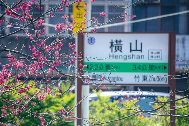 横山车站 樱花纷飞的鸣笛声。(图/创意市集提供)