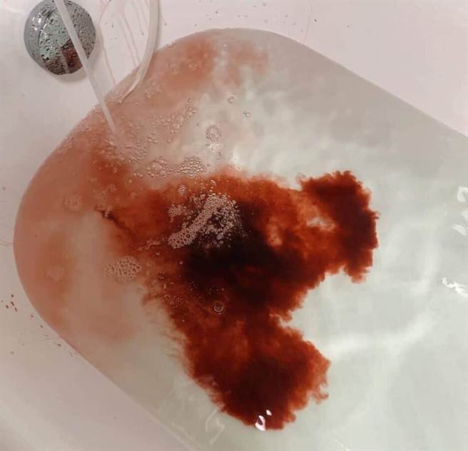 原PO分享最初丢浴缸的样子。（图／翻摄自爆废公社公开版）