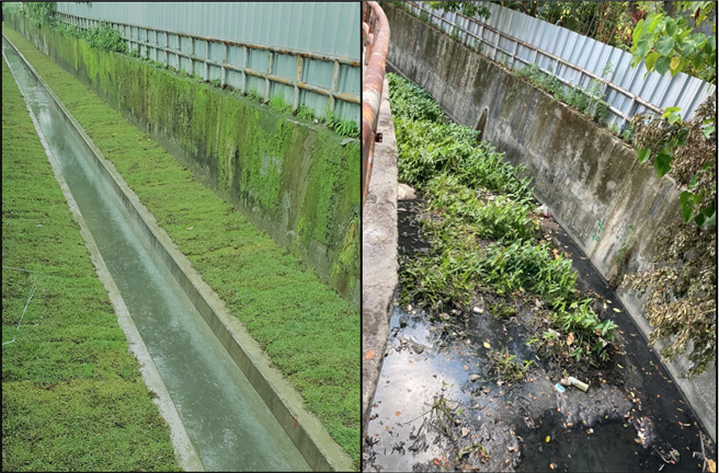 新北市樹林區三龍里俊興街的後村圳溝渠原堆滿垃圾、淤泥，惡臭不堪，經水利局整治後，水流順暢、溝渠綠美化，惡臭味減少許多。（圖由民眾提供）