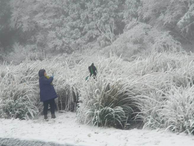 追雪族不畏天寒地凍，穿梭雪地雪中作樂。（武陵農場提供／王文吉台中傳真）
