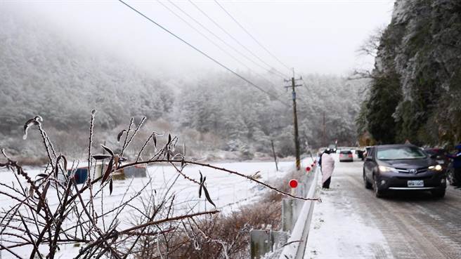 台七甲線思源埡口山林一片冰天雪地，追雪族持續湧入。（武陵農場提供／王文吉台中傳真）