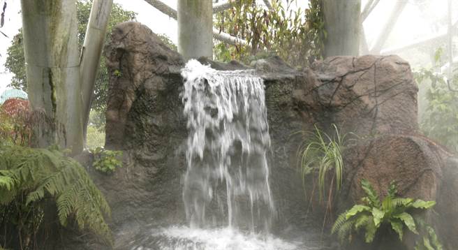 馆内的水池也有加热系统，会飘出缕缕白烟。(摄影/陈宏睿)