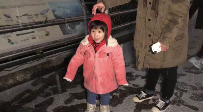 小遊客也開心高喊「天上下雪了」。（翻攝照片／黃婉婷桃園傳真）