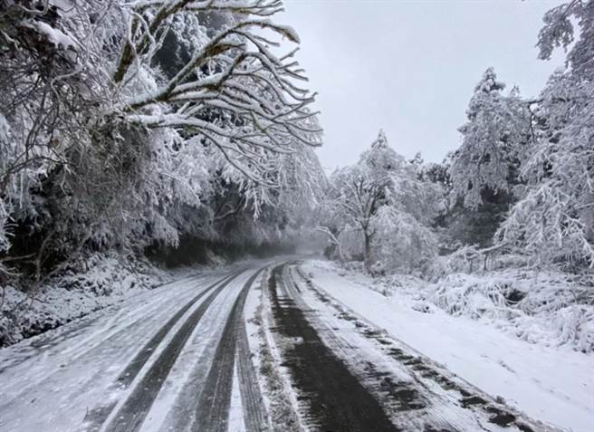 太平山積雪厚達10公分，山區宛如銀白仙境。（羅東林管處提供）