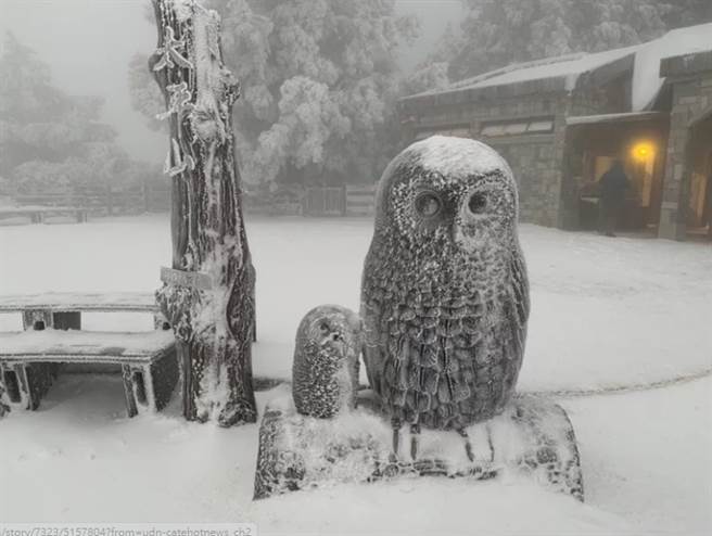 大雪連下逾30小時，太平山一片銀白景色。（羅東林管處提供）