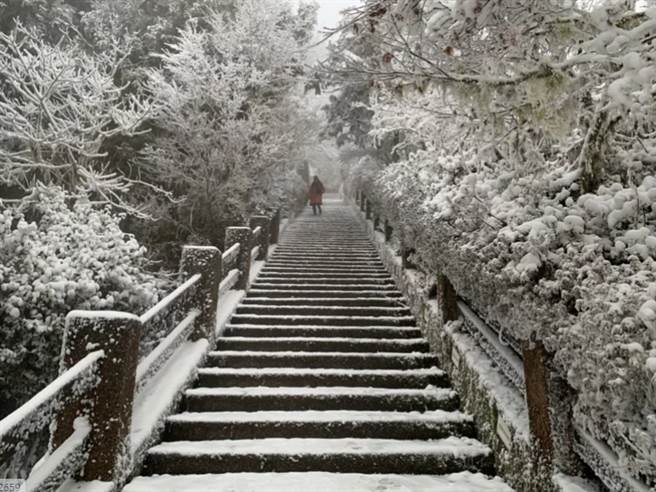 民眾不畏酷寒，瘋狂追雪。（羅東林管處提供）