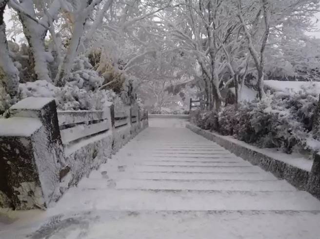 白雪皚皚，太平山超美。（羅東林管處提供）