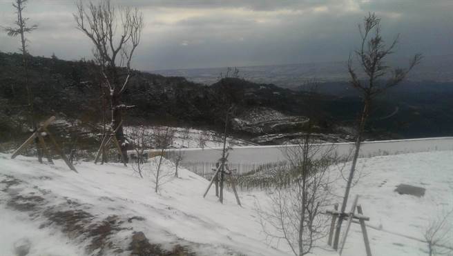 虽然因水气不足已停止下雪，但低温持续，太平山上仍旧是白茫茫 的银白色世界。（罗东林管处提供／胡健森宜兰传真）