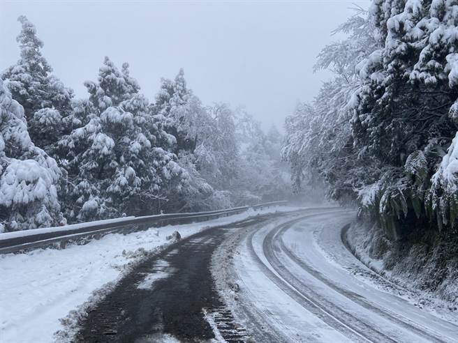 虽然因水气不足已停止下雪，但低温持续，太平山上仍旧是白茫茫 的银白色世界。（罗东林管处提供／胡健森宜兰传真）
